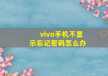 vivo手机不显示忘记密码怎么办