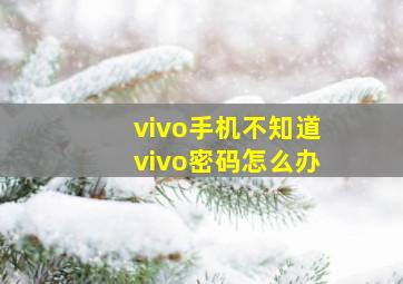 vivo手机不知道vivo密码怎么办