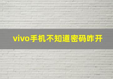 vivo手机不知道密码咋开