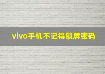 vivo手机不记得锁屏密码