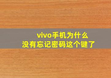 vivo手机为什么没有忘记密码这个键了