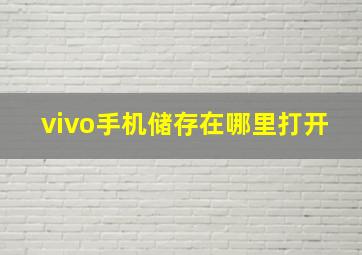 vivo手机储存在哪里打开