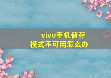 vivo手机储存模式不可用怎么办