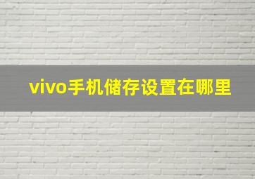 vivo手机储存设置在哪里