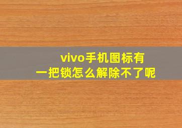 vivo手机图标有一把锁怎么解除不了呢