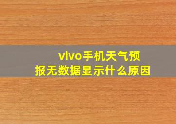 vivo手机天气预报无数据显示什么原因