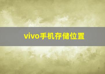 vivo手机存储位置