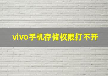 vivo手机存储权限打不开