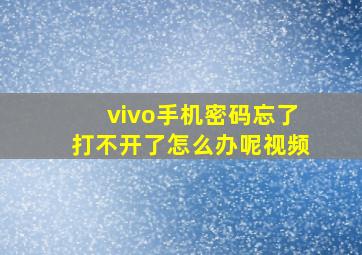 vivo手机密码忘了打不开了怎么办呢视频