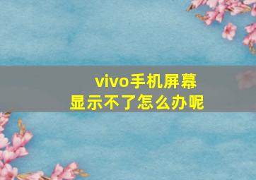 vivo手机屏幕显示不了怎么办呢