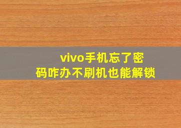 vivo手机忘了密码咋办不刷机也能解锁