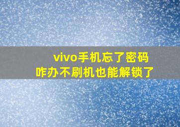 vivo手机忘了密码咋办不刷机也能解锁了