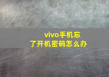 vivo手机忘了开机密码怎么办