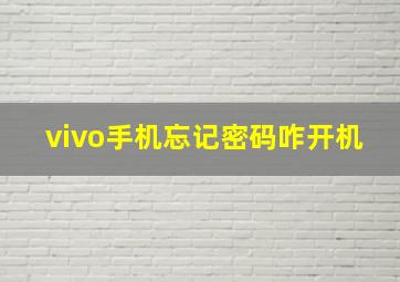 vivo手机忘记密码咋开机