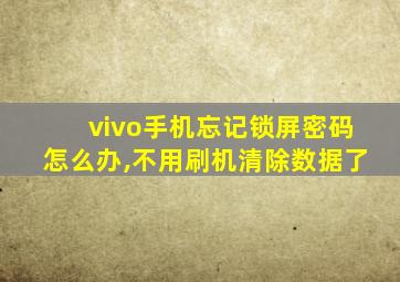 vivo手机忘记锁屏密码怎么办,不用刷机清除数据了