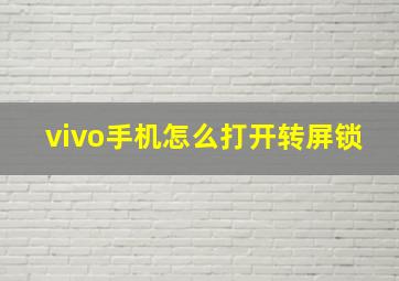 vivo手机怎么打开转屏锁