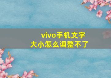 vivo手机文字大小怎么调整不了