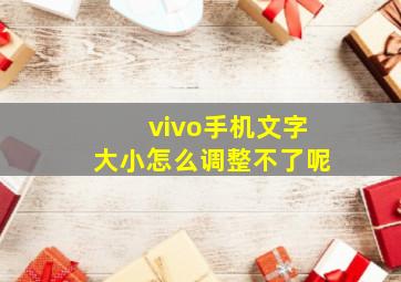 vivo手机文字大小怎么调整不了呢