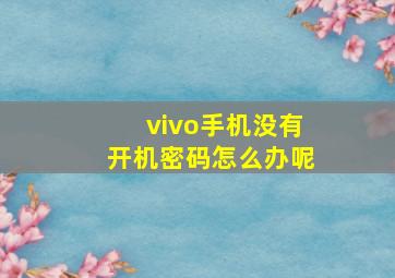 vivo手机没有开机密码怎么办呢