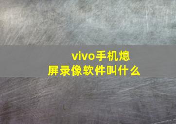 vivo手机熄屏录像软件叫什么