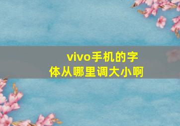 vivo手机的字体从哪里调大小啊