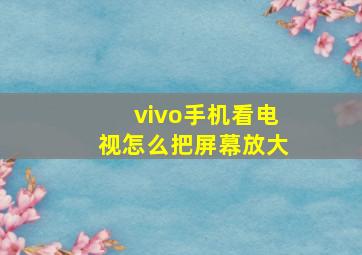 vivo手机看电视怎么把屏幕放大