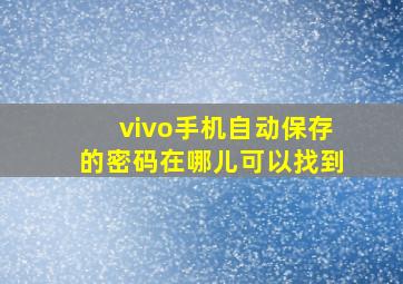 vivo手机自动保存的密码在哪儿可以找到