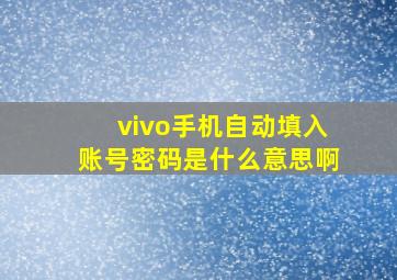 vivo手机自动填入账号密码是什么意思啊