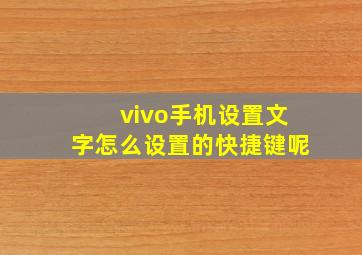 vivo手机设置文字怎么设置的快捷键呢