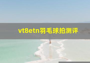 vt8etn羽毛球拍测评