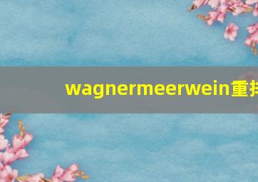 wagnermeerwein重排