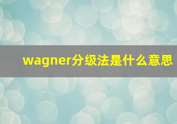 wagner分级法是什么意思