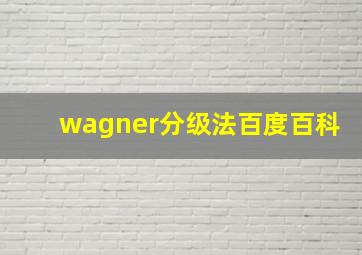 wagner分级法百度百科