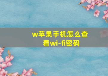 w苹果手机怎么查看wi-fi密码