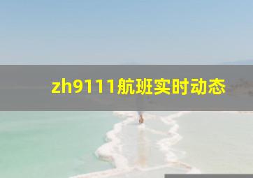 zh9111航班实时动态