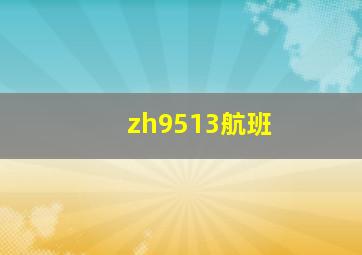 zh9513航班