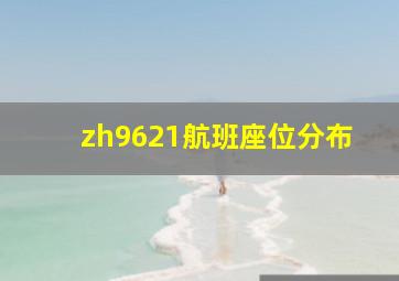 zh9621航班座位分布