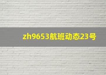 zh9653航班动态23号