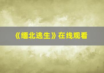 《缅北逃生》在线观看