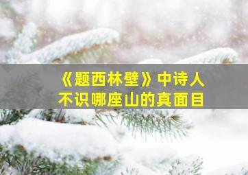 《题西林壁》中诗人不识哪座山的真面目