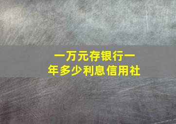 一万元存银行一年多少利息信用社