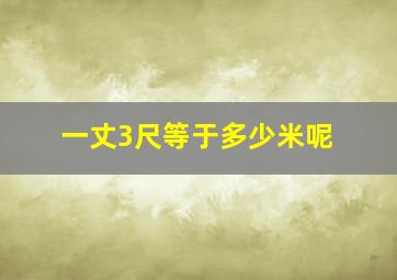 一丈3尺等于多少米呢