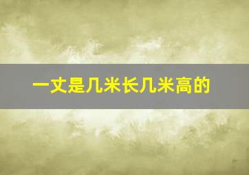 一丈是几米长几米高的