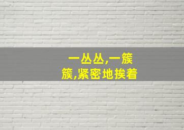 一丛丛,一簇簇,紧密地挨着