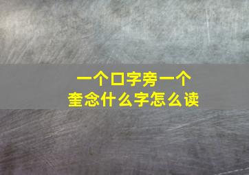 一个口字旁一个奎念什么字怎么读