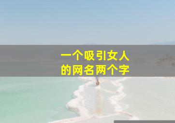 一个吸引女人的网名两个字