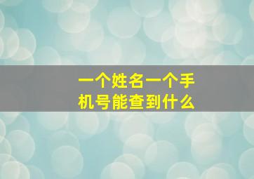 一个姓名一个手机号能查到什么