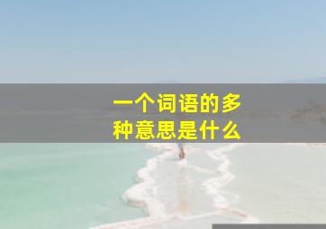 一个词语的多种意思是什么