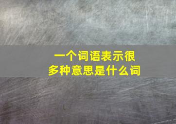 一个词语表示很多种意思是什么词