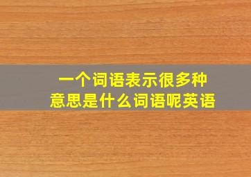 一个词语表示很多种意思是什么词语呢英语